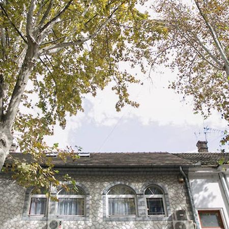 Kona Apartment Belgrad Dış mekan fotoğraf