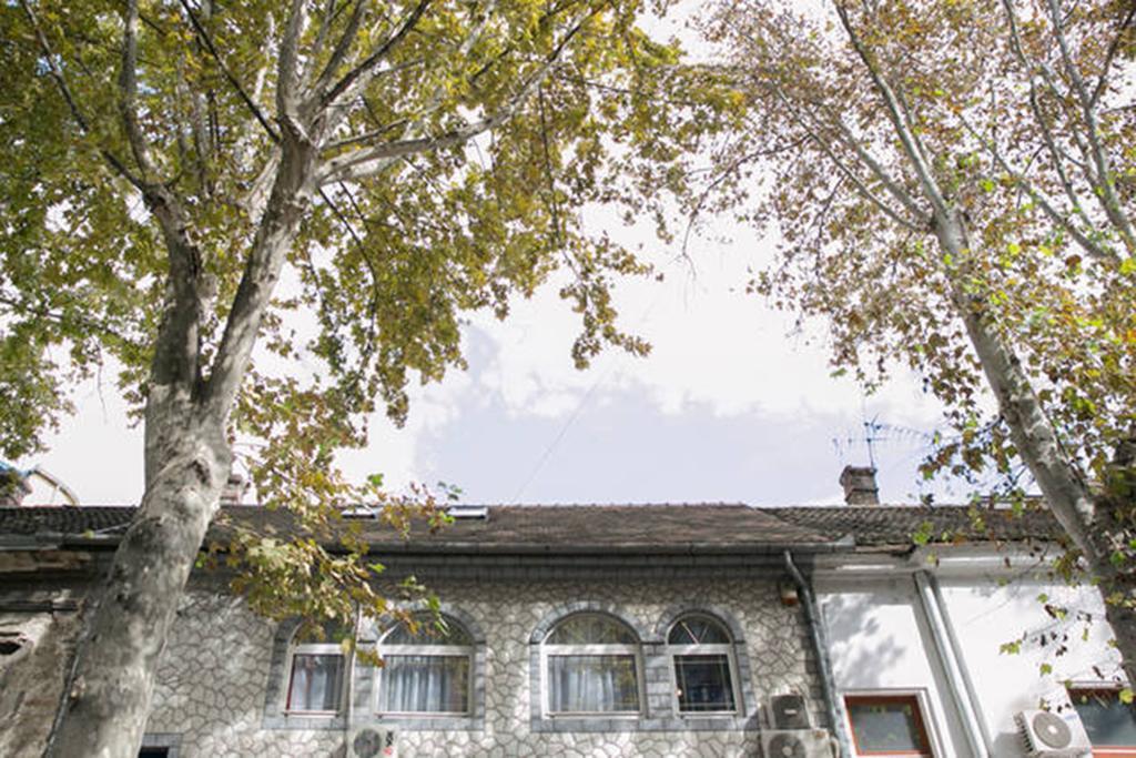 Kona Apartment Belgrad Dış mekan fotoğraf